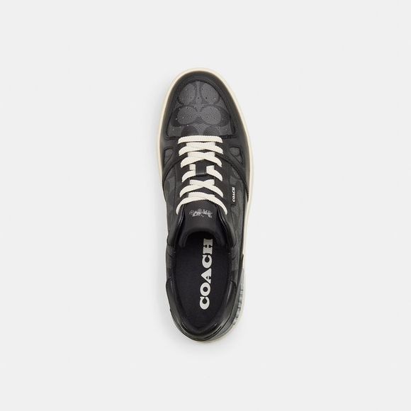 NWT Coach Outlet Clip Court Sneaker - Picture 3 of 7